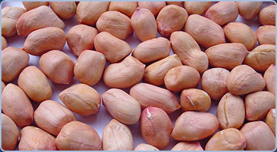Peanuts (Java)